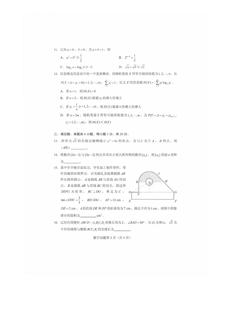 2020年山东高考数学试题真题及答案_第3页