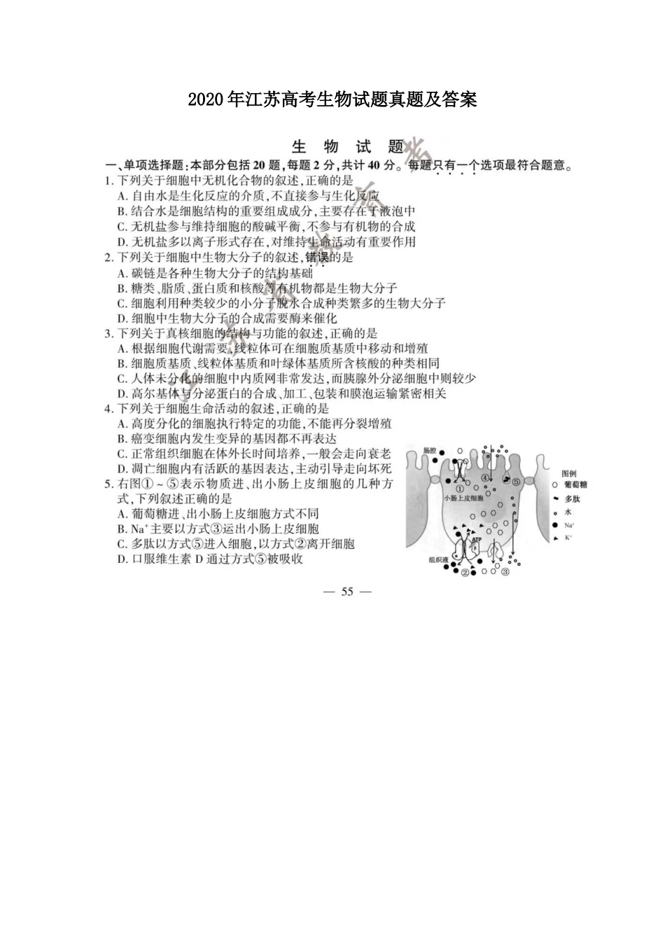 2020年江苏高考生物试题真题及答案_第1页