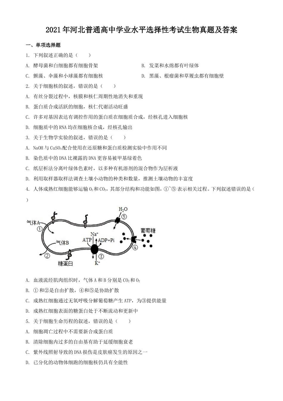 2021年河北普通高中学业水平选择性考试生物真题及答案_第1页