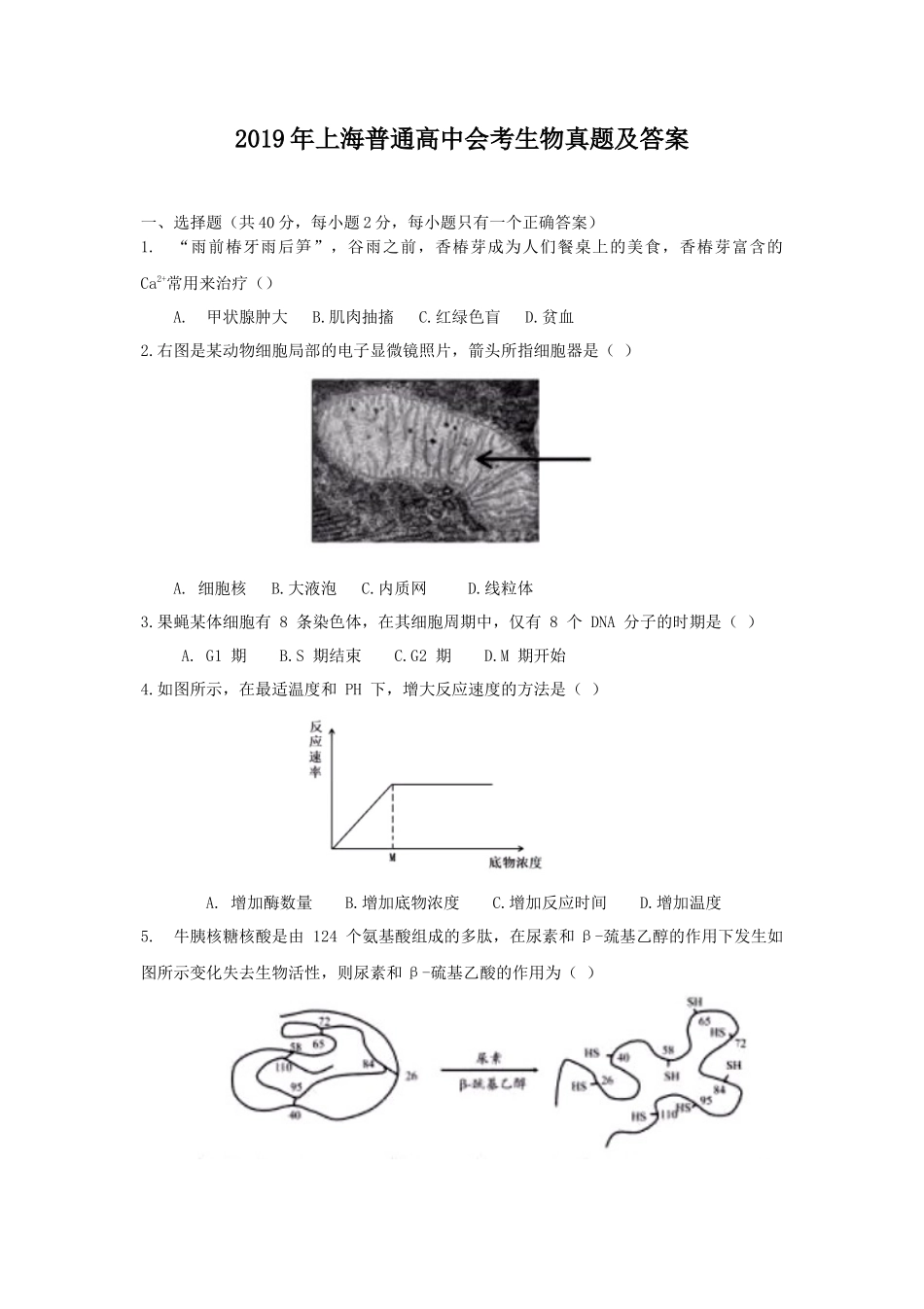 2019年上海普通高中会考生物真题及答案_第1页