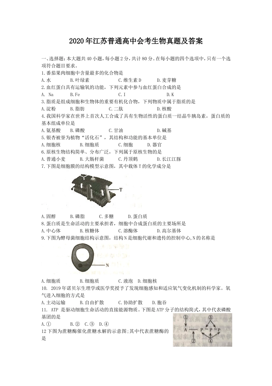 2020年江苏普通高中会考生物真题及答案_第1页
