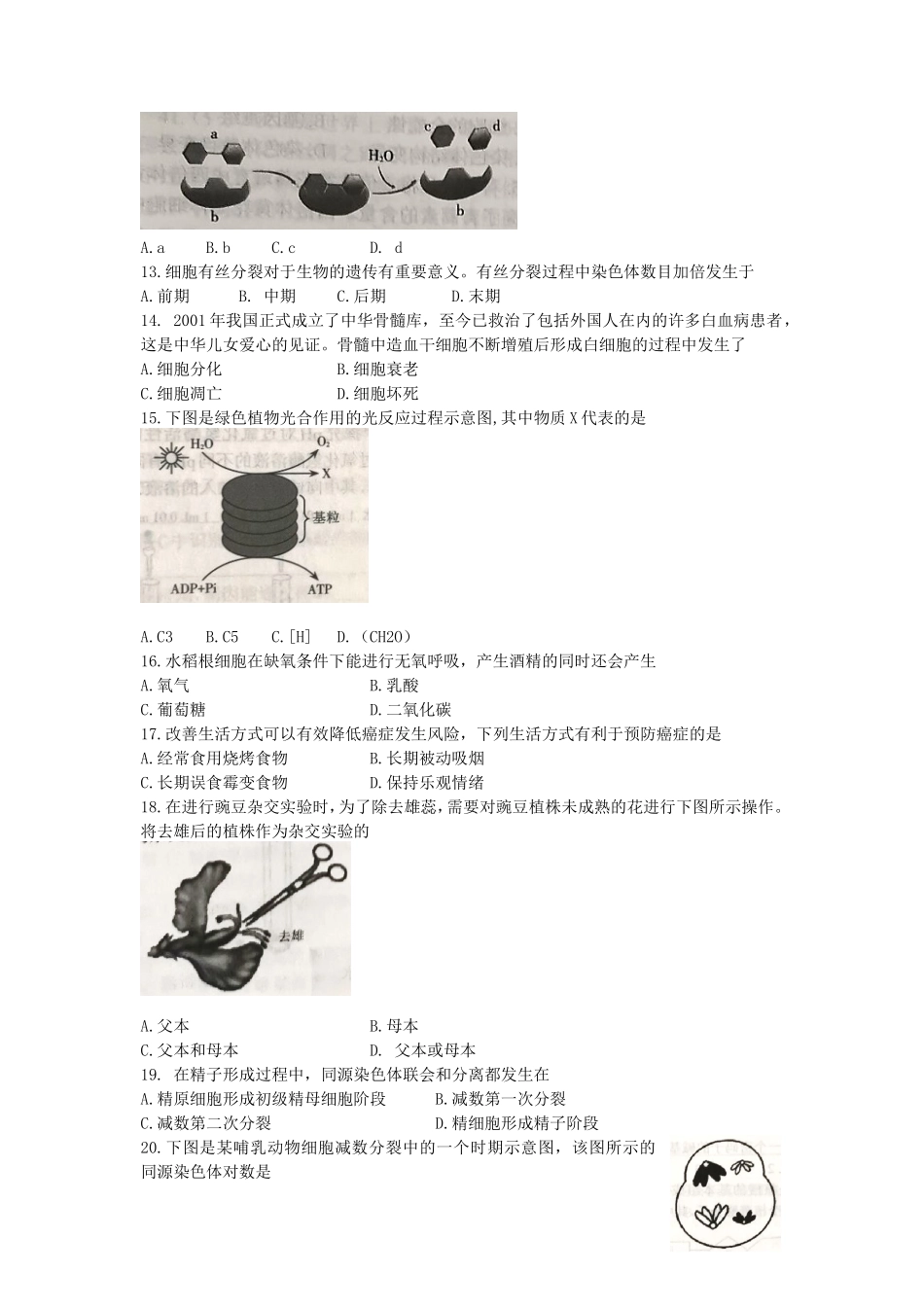 2020年江苏普通高中会考生物真题及答案_第2页