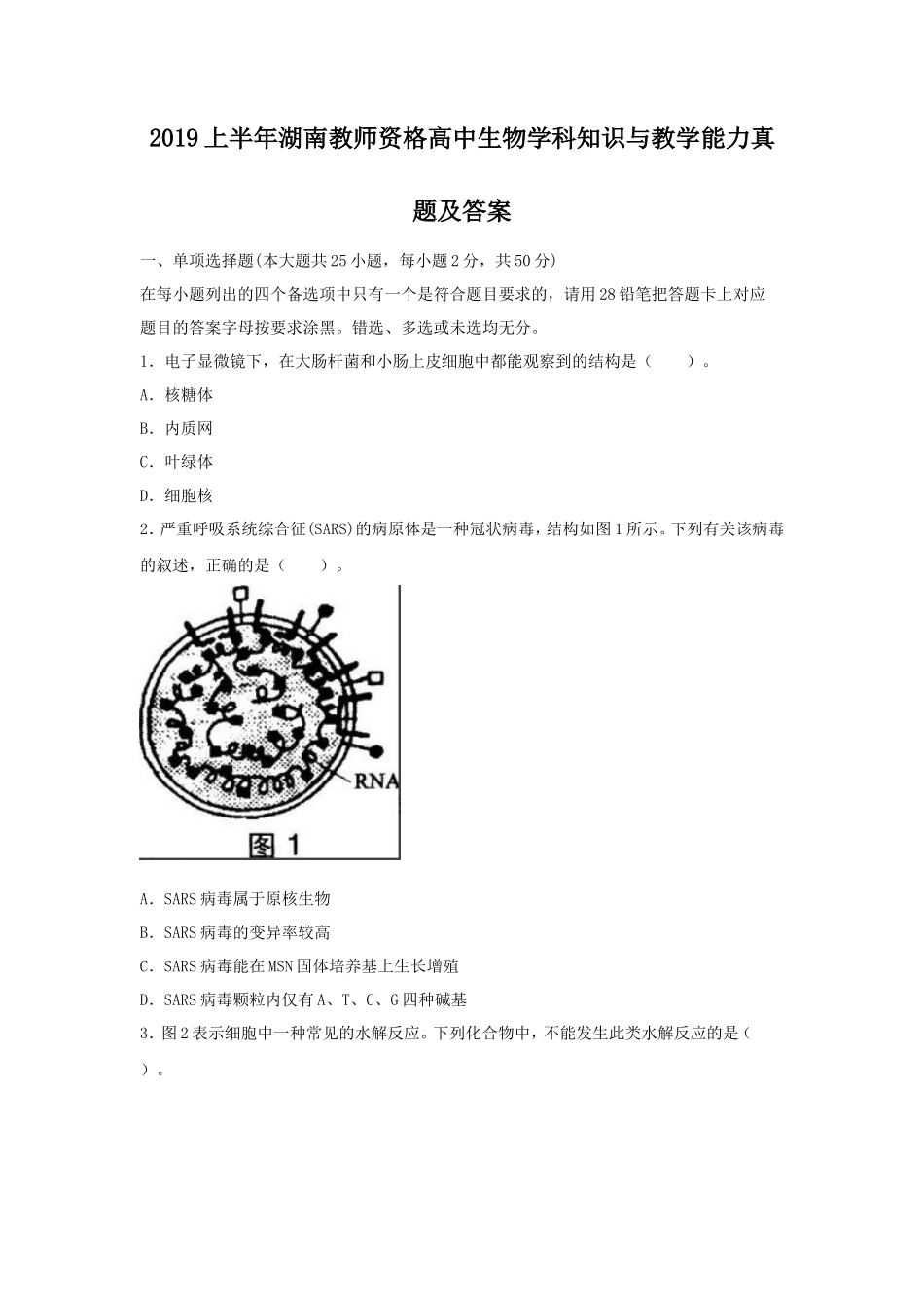 2019上半年湖南教师资格高中生物学科知识与教学能力真题及答案_第1页