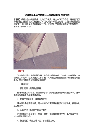 公司新员工试用期转正工作计划报告