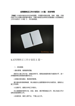 试用期转正工作计划范文（10篇）