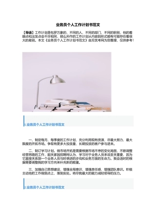 业务员个人工作计划书范文