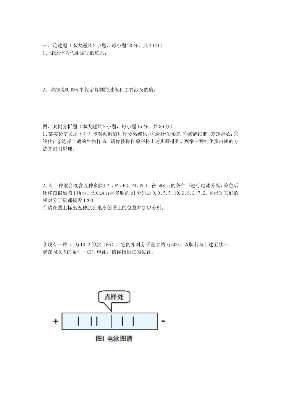 2023年武汉工程大学生物化学考研真题_第2页