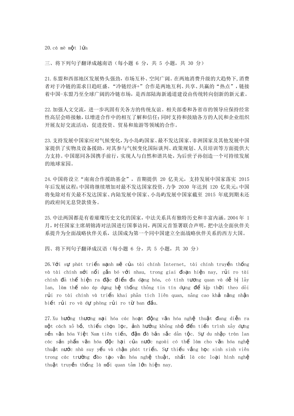 2020年广西民族大学越南语翻译基础考研真题B卷_第2页