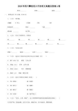 2020年四川攀枝花小升初语文真题及答案A卷