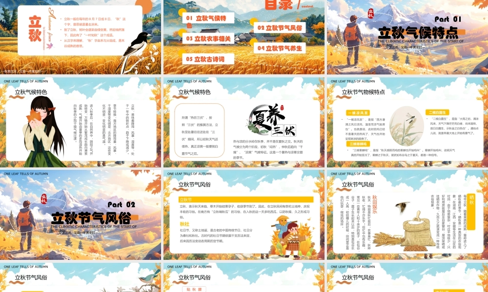 橙色插画风二十四节气之立秋介绍PPT模板