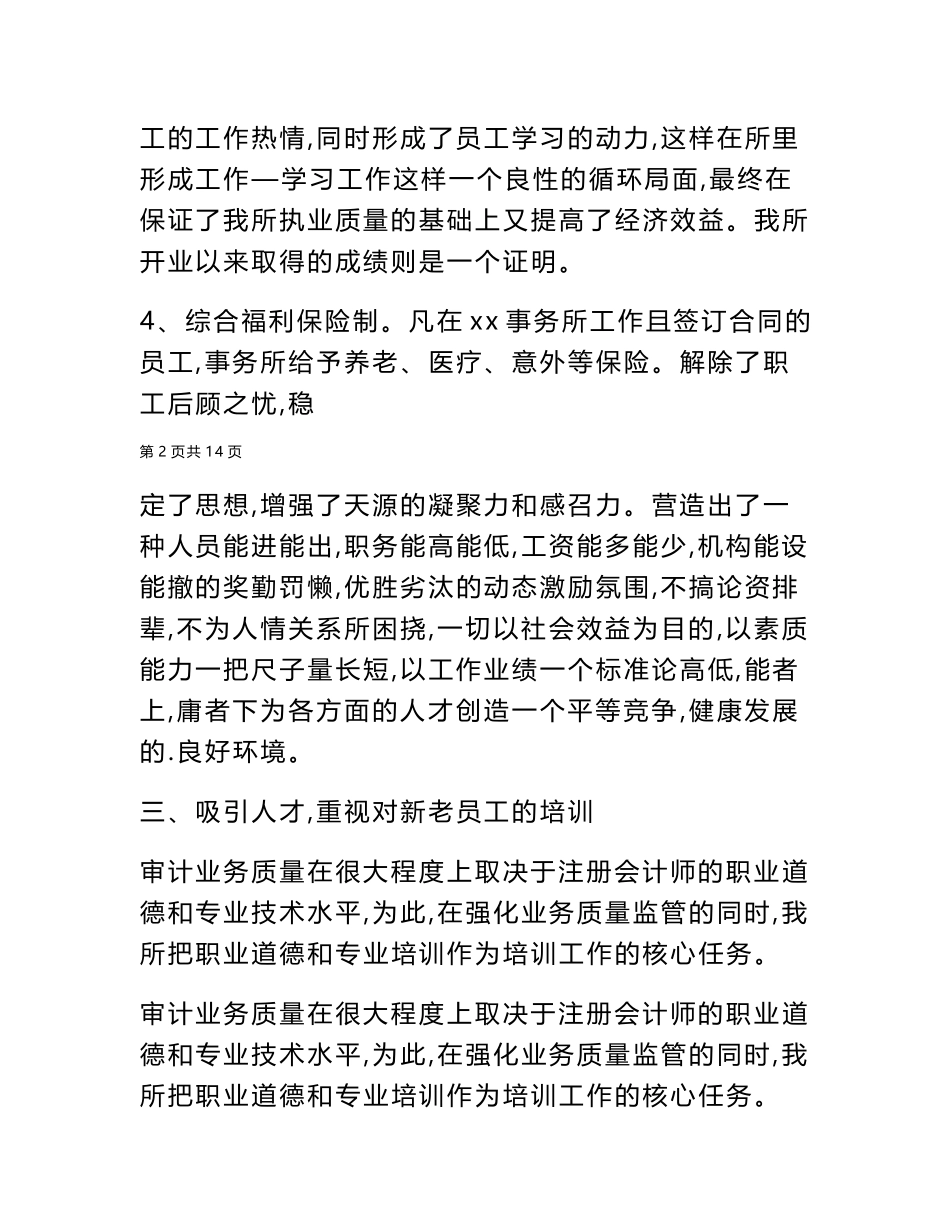 2024年会计师事务所年度工作个人总结_第3页
