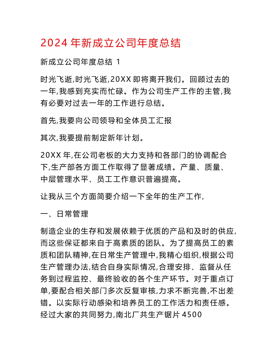 2024年新成立公司年度总结_第1页