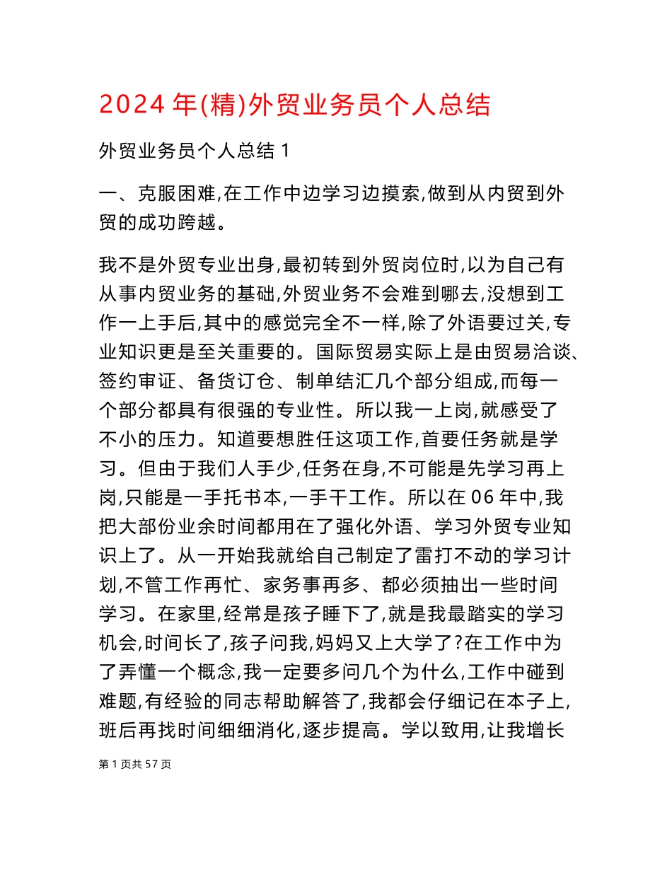 2024年(精)外贸业务员个人总结_第1页