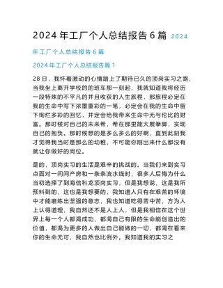 2024年工厂个人总结报告6篇