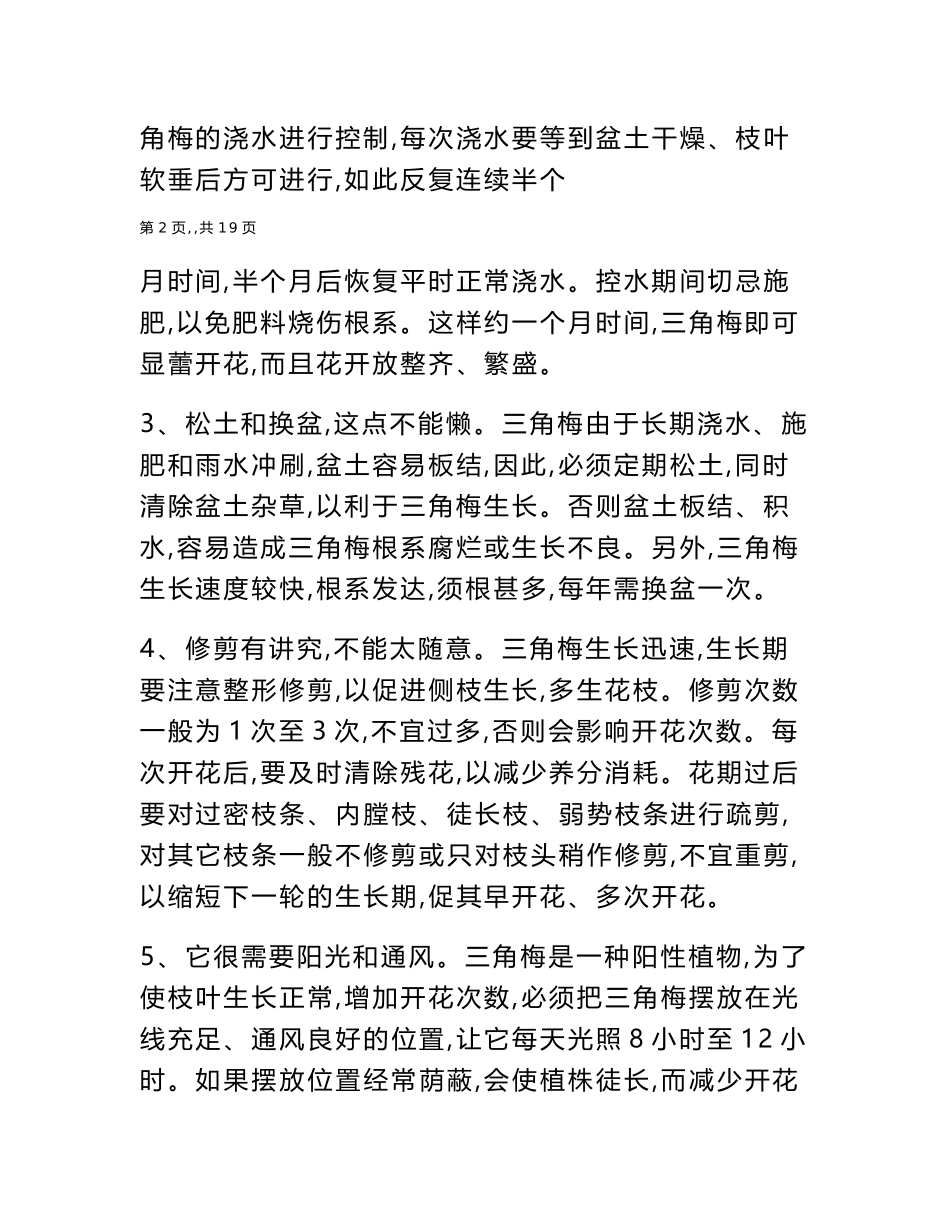 2025年三角梅的栽培方法_第3页