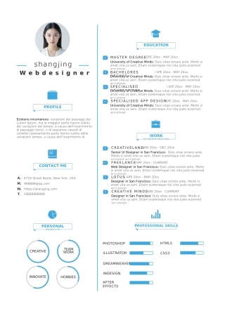英文简历-单页22