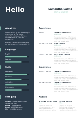 英文简历-双页03