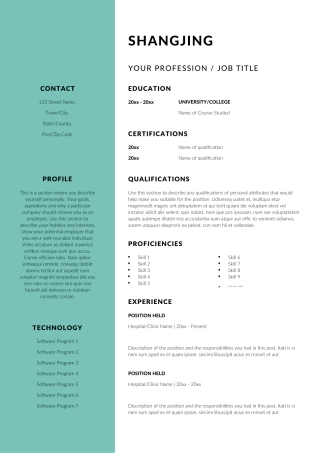 英文简历-双页10