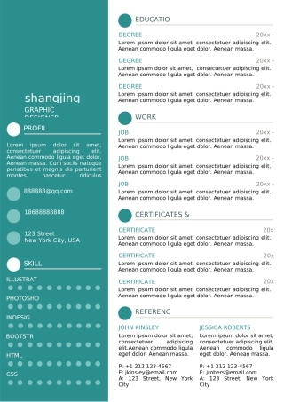 英文简历-双页11