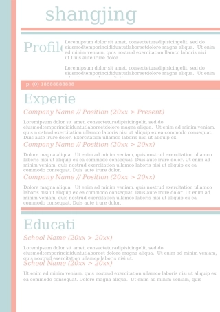 英文简历-双页25