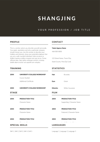 英文简历-双页26