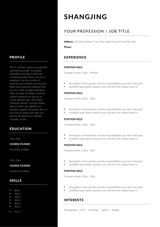 英文简历-双页27