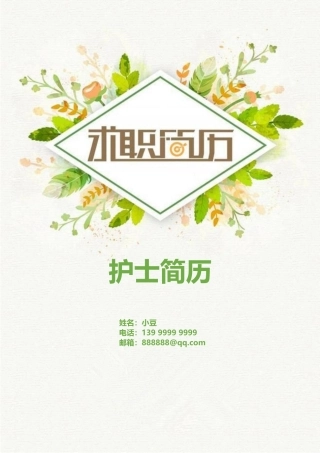 护士、护理-四页29