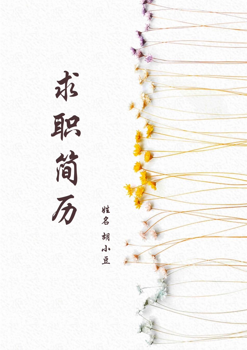 简历三页125-封面+内容+自荐信_第1页