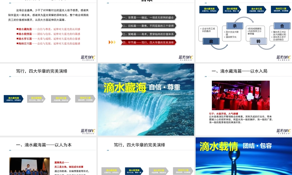 蓝光集团公司年会策划方案
