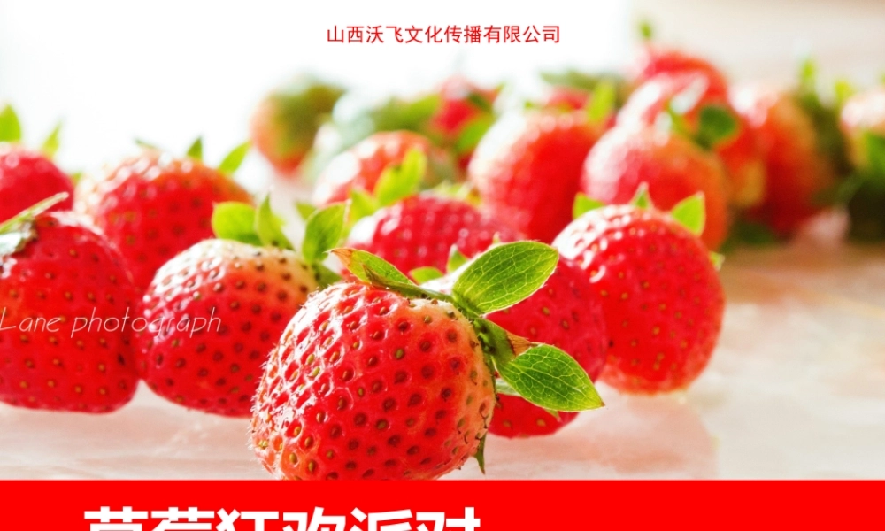 五月赞城草莓狂欢派对活动方案