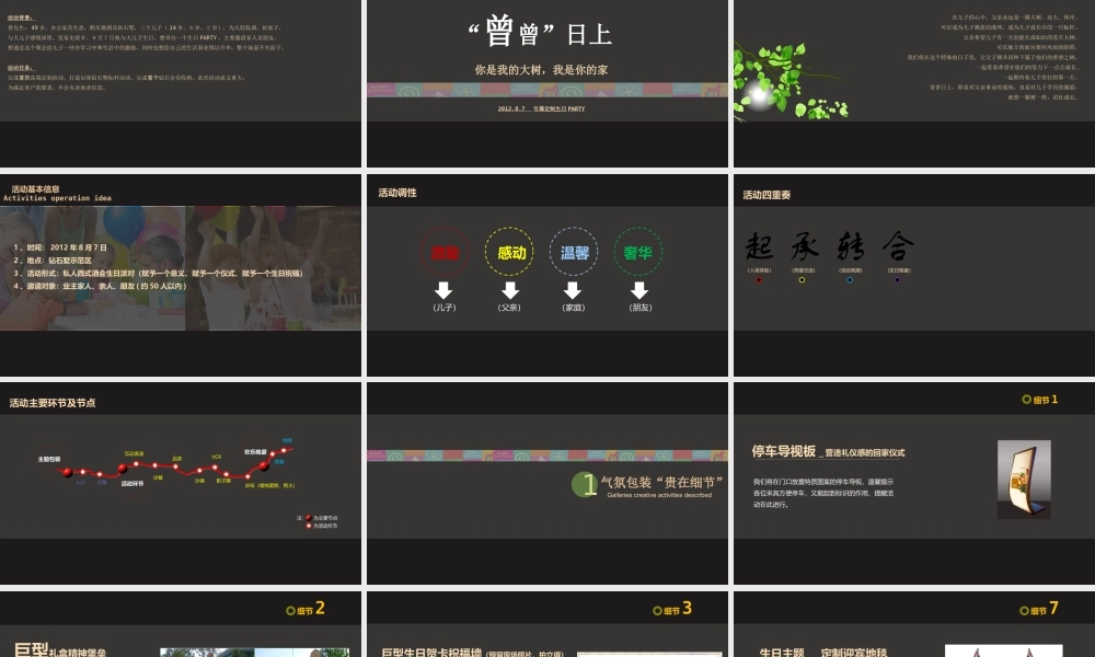 钻石别墅生日PARTY活动方案