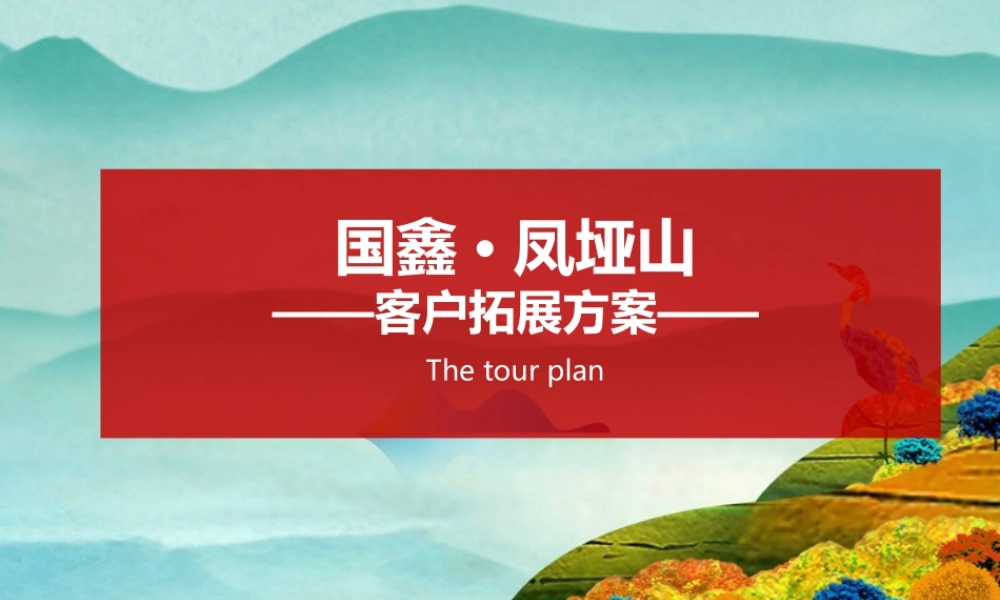 项目春节前活动方案