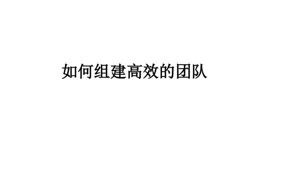 高效团队建设方案