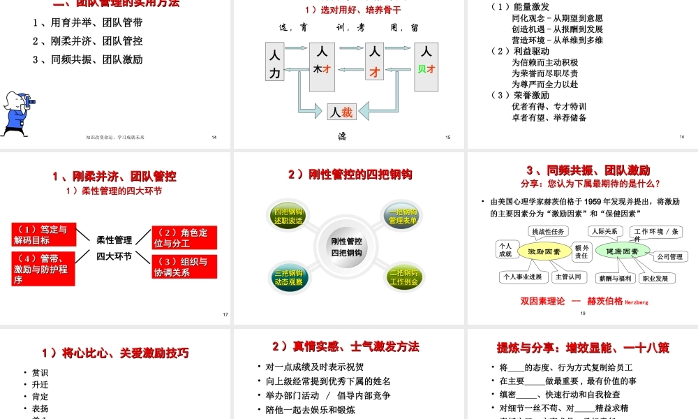 高效团队建设与管理