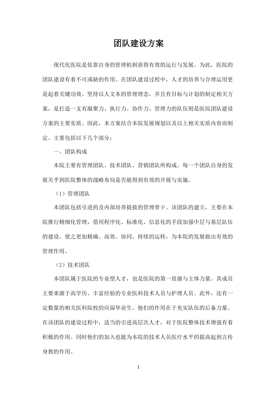 弘大医院团队建设方案-盘古文库_第1页