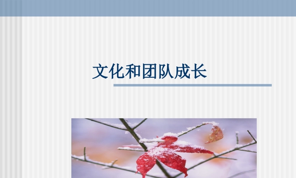 人、文化和团队建设