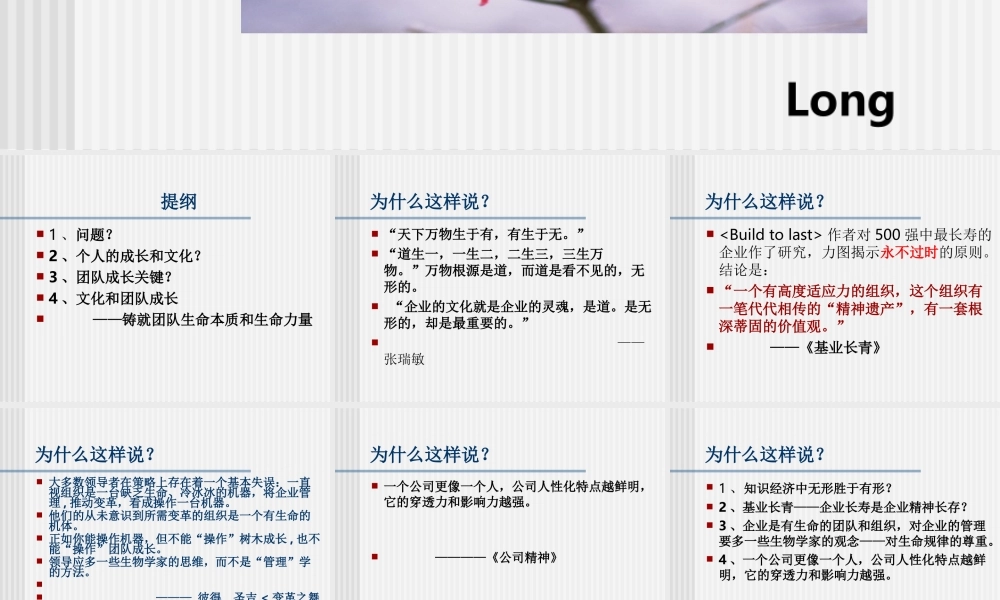 人、文化和团队建设
