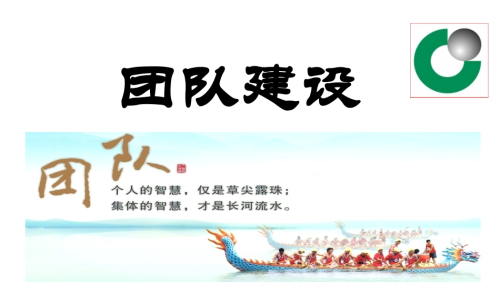 国寿财团队建设(方案)