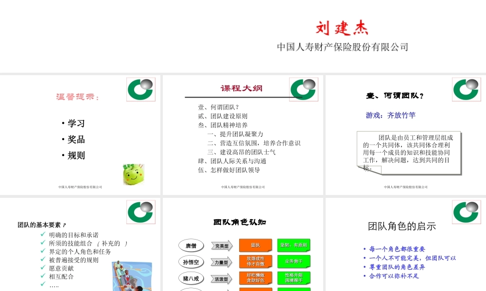 国寿财团队建设(方案)