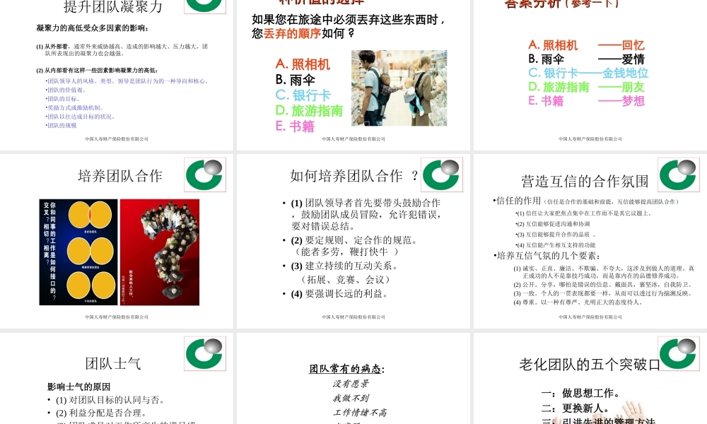 国寿财团队建设(方案)