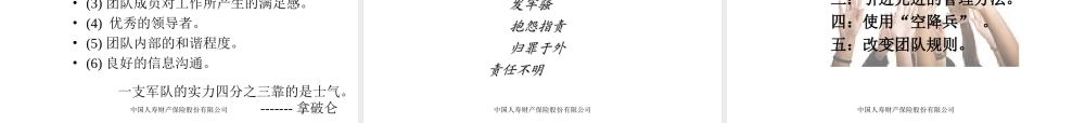 国寿财团队建设(方案)