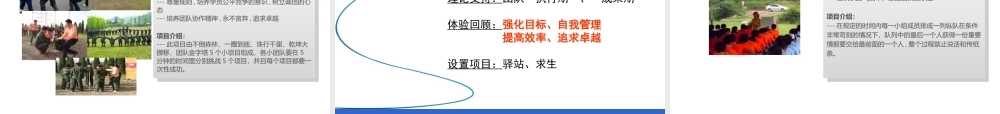 团队建设培训方案