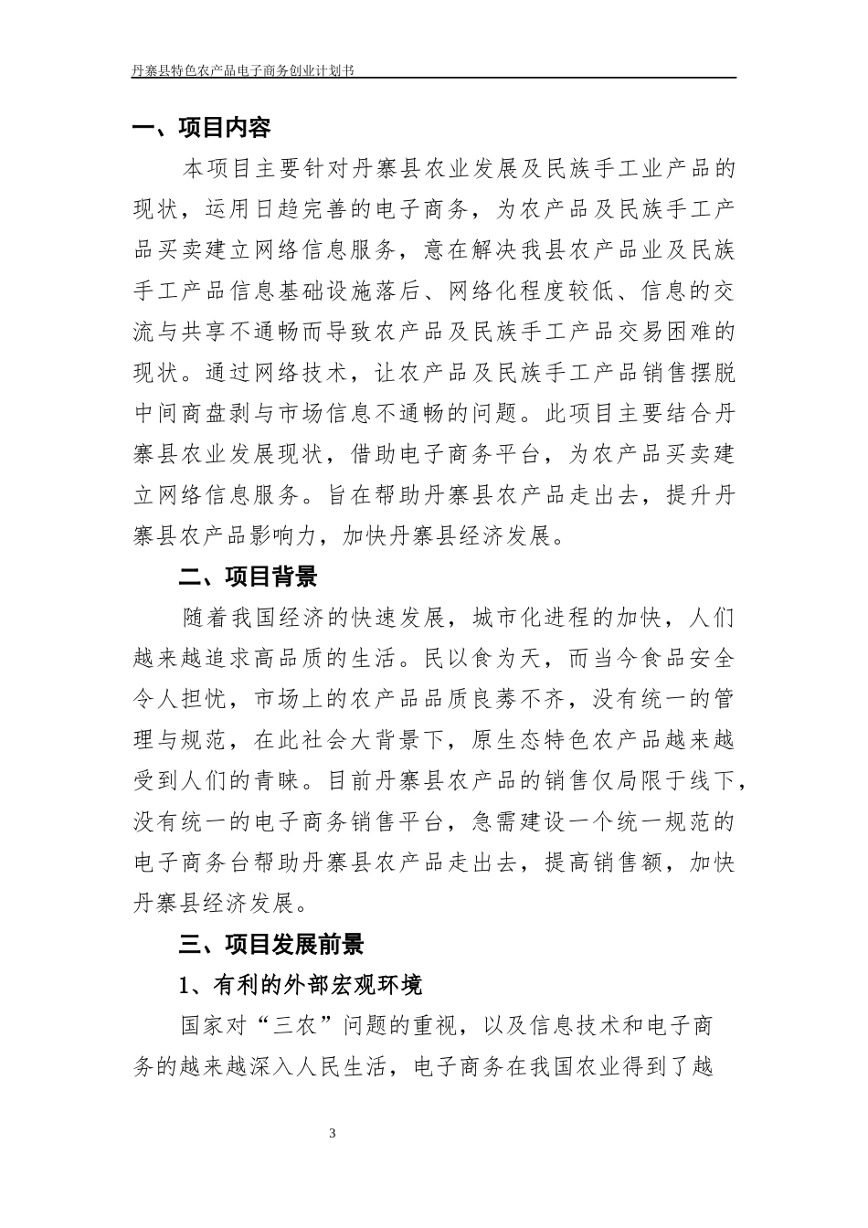 丹寨县农村电子商务创业计划书(1)_第3页