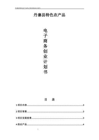 丹寨县农村电子商务创业计划书
