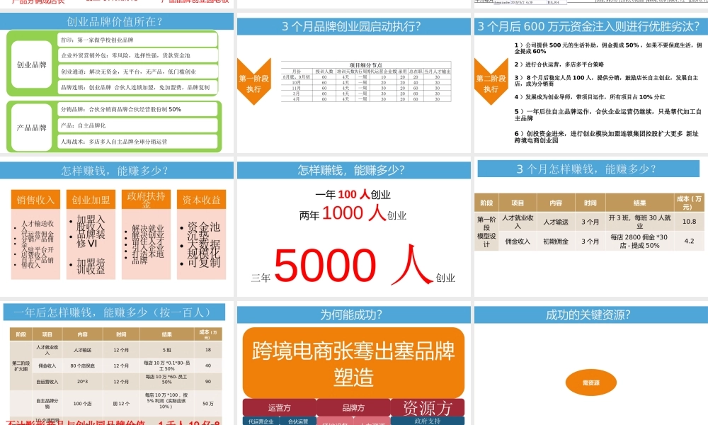 跨境电商创业园商业计划书(盈利模式)