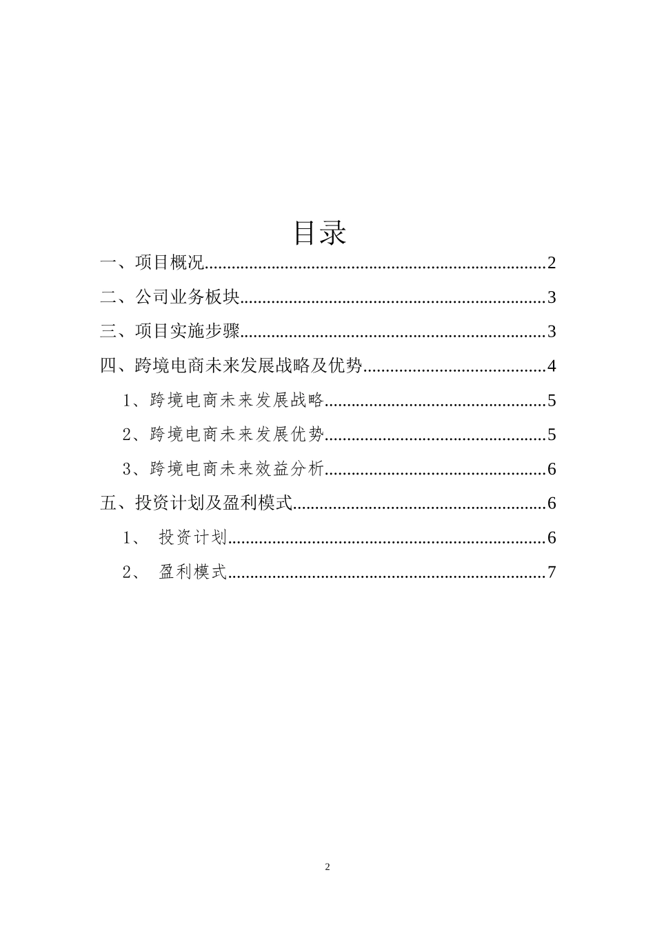 跨境电商商业计划书_第2页