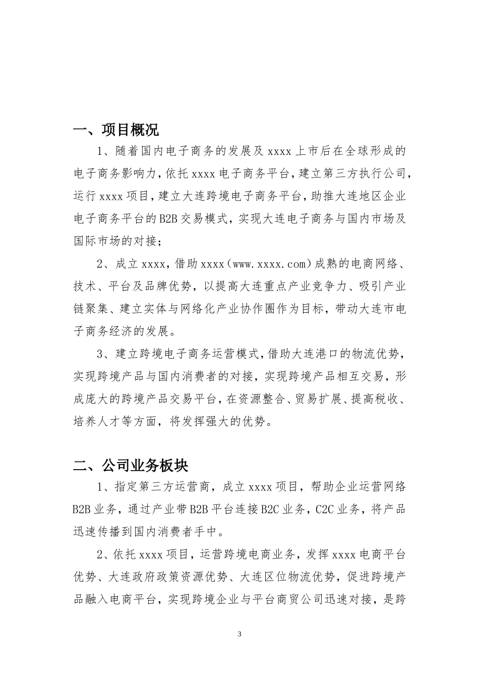 跨境电商商业计划书_第3页
