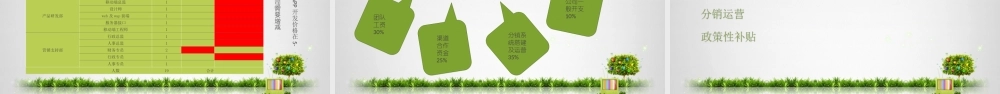 绿色食品电商平台项目商业计划书