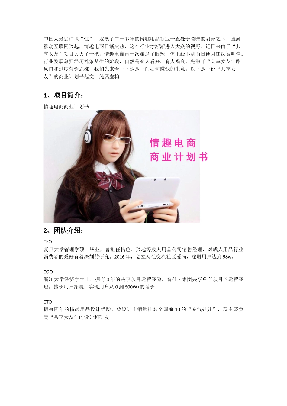 情趣电商商业计划书范文_第2页