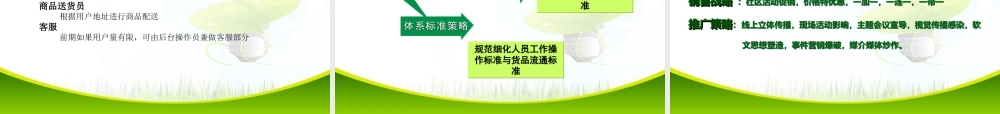 生鲜商城平台商业计划书